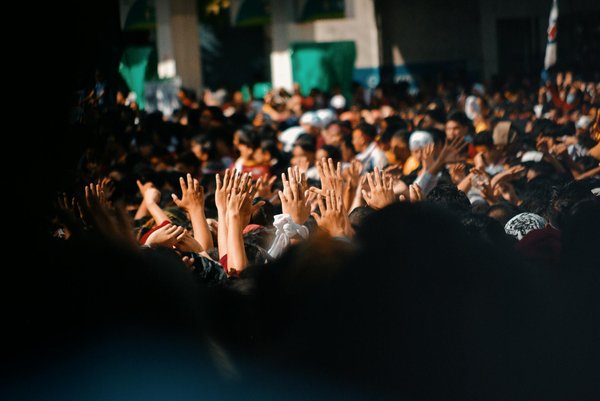 Plongée dans l'élégance : votre piscine Courrej